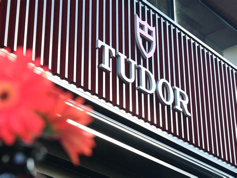 tudor türkiye|Tudor .